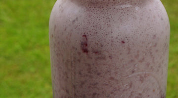 Frothy Blackberry Hemp Smoothie