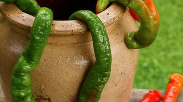 HOT, HOT, HOT! Lacto-fermented Maple Crystal Hot Sauce