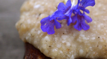 Mini Raw German Chocolate Cakes