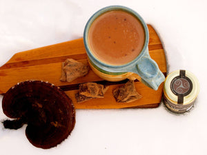Reishi Hot Chocolate ☕🍄🍫