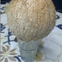 Mix the Lime in the Coconut...