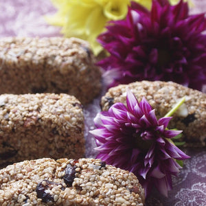 Raw Sesame Squirrel Snacks
