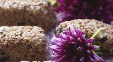 Raw Sesame Squirrel Snacks