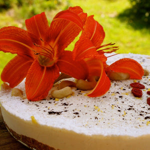 Lemon Coconut Cream Pie
