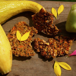 Savory Raw Zucchini Crackers