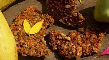 Savory Raw Zucchini Crackers