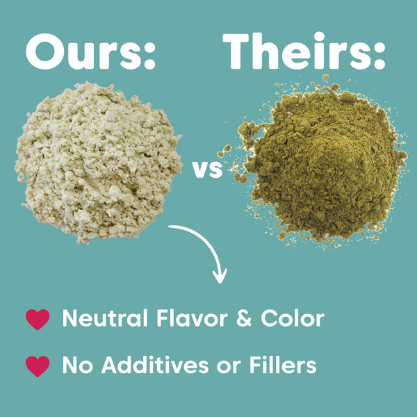 Hemp Protein Powder – Organic