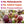 Load image into Gallery viewer, Camu Camu Berry Powder - Organic