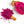 Load image into Gallery viewer, Dragon Fruit Powder - Freeze-Dried