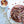 Load image into Gallery viewer, Hazelnuts - Organic, Pacific Northwest-Grown