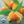 Load image into Gallery viewer, Incan Berries - Organic, Raw