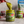 Load image into Gallery viewer, Pistachio Nut Butter - Organic, Raw
