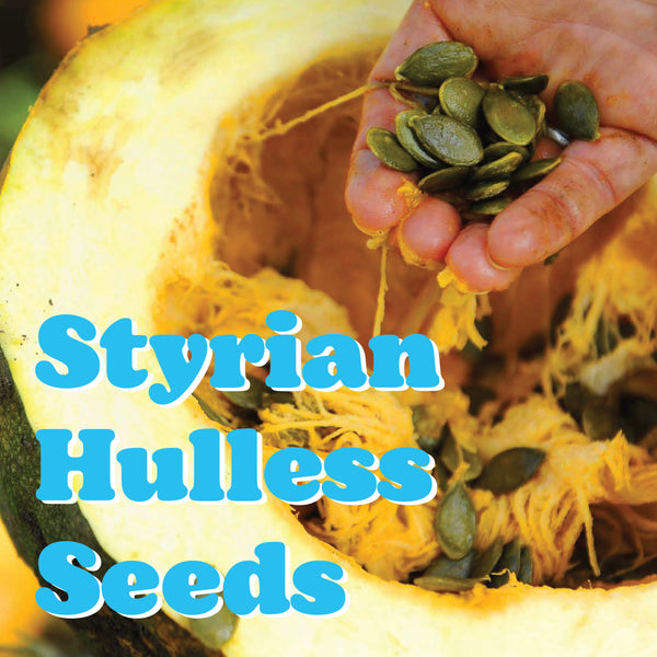 Austrian Pumpkin Seeds - Organic, Austrian-Grown