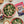 Load image into Gallery viewer, Pine Nut Butter - Organic, Raw