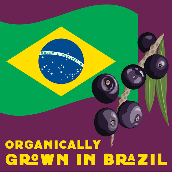 Acai Powder - Organic, Freeze-Dried