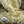 Load image into Gallery viewer, Hemp Seeds - Organic, Raw
