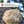 Load image into Gallery viewer, Lion's Mane Mushroom Powder - Organic