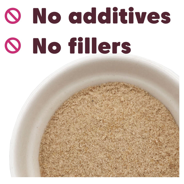 Lion's Mane Mushroom Powder - Organic