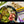 Load and play video in Gallery viewer, Pistachios - Bright Green Halves, Organic, California-Grown