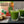 Load and play video in Gallery viewer, Wheatgrass Shots - Juice Powder - Organic, USA-Grown