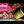 Load and play video in Gallery viewer, Chocolate Chips - Organic
