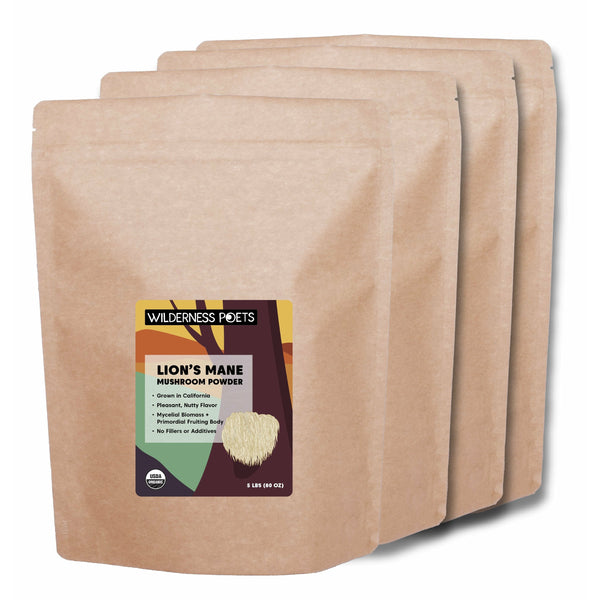 Lion's Mane Mushroom Powder - Organic