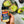 Load image into Gallery viewer, Miso Nooch - Organic