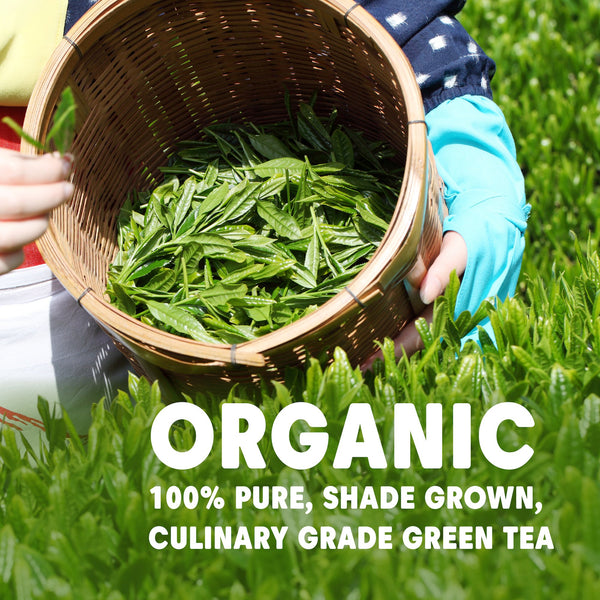 Culinary Grade Matcha Green Tea Powder - Organic