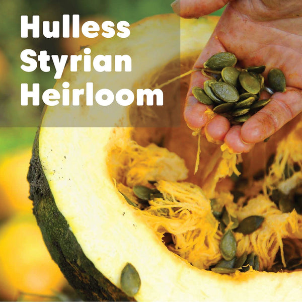 Oregon Pumpkin Seeds - Organic, Oregon-Grown