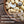 Load image into Gallery viewer, Cashew Butter - Raw, Organic