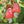 Load image into Gallery viewer, Jumbo Cashews - Organic