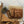 Load image into Gallery viewer, Pure Vanilla Powder - Organic, Raw Ground Vanilla Beans