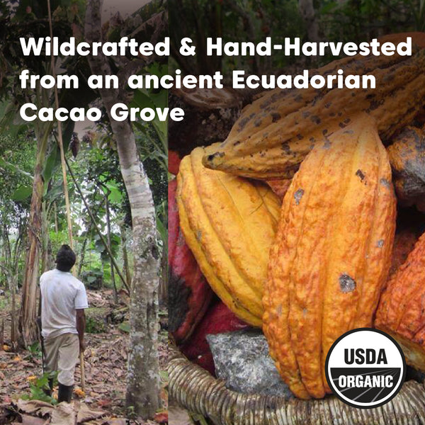 Cacao Paste - Arriba Nacional, Organic