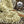 Load image into Gallery viewer, Hemp Protein Powder – Organic