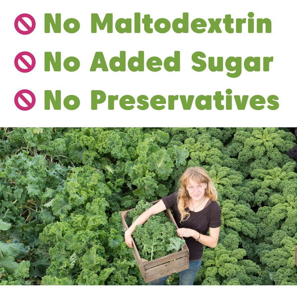 Kale Powder - Organic