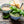 Load image into Gallery viewer, Pine Nuts - Organic, Raw