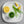 Load image into Gallery viewer, Wheatgrass Shots - Juice Powder - Organic, USA-Grown
