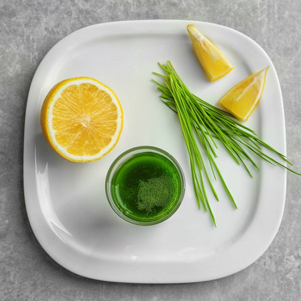 Wheatgrass Shots - Juice Powder - Organic, USA-Grown