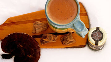 Reishi Hot Chocolate ☕🍄🍫
