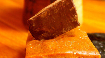Julia's Pecan Fudge Caramel Bites
