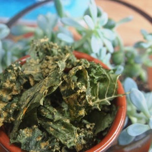 Not-So-Cliche Raw KALE CHIPS