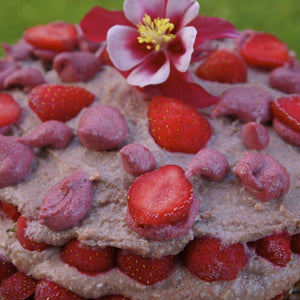 Raw Strawberry Shortcake!