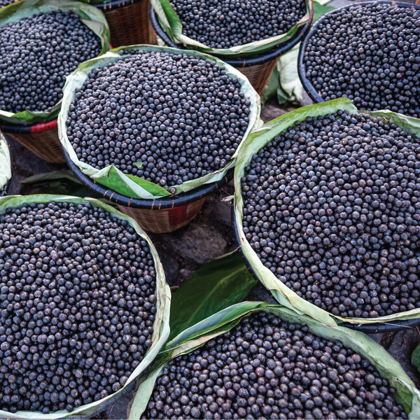 acai seeds for planting Freeze Dried Acai Organic Powder