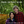 Load image into Gallery viewer, Hazelnuts - Organic, Pacific Northwest-Grown

