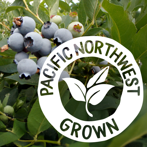 Blueberries - Organic, Pacific Northwest-Grown