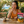 Load image into Gallery viewer, Macadamia Nuts - Whole, Raw
