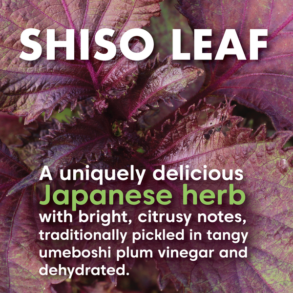 Shiso Miso Nooch