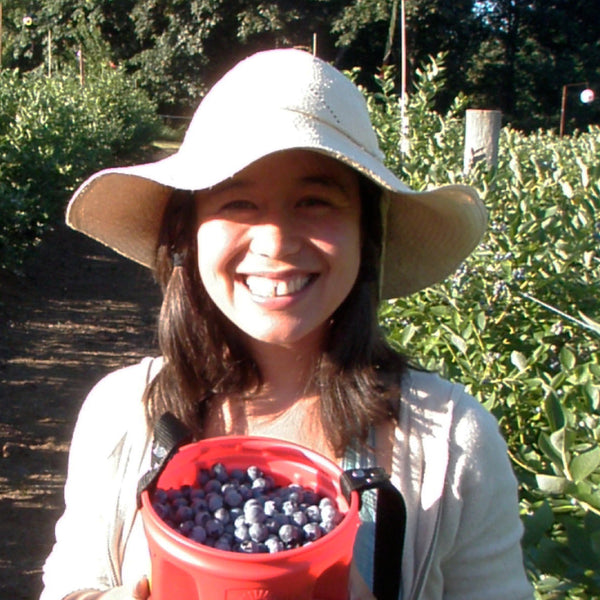 Blueberries - Organic, Oregon-Grown