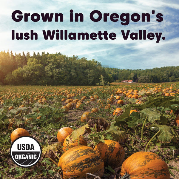 Oregon Pumpkin Seeds - Organic, Oregon-Grown