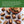 Load image into Gallery viewer, Walnuts - Organic, Chandler Variety, California-Grown
